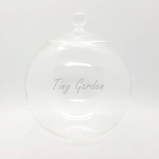 Terrarium สวนขวดแก้ว โหลแก้วกลมฝาแก้วจุกจับ