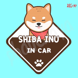 DIC37 สติ๊กเกอร์ ติดรถ Shiba inu Dog In Car สติ๊กเกอร์ติดรถ แต่งรถ car sticker