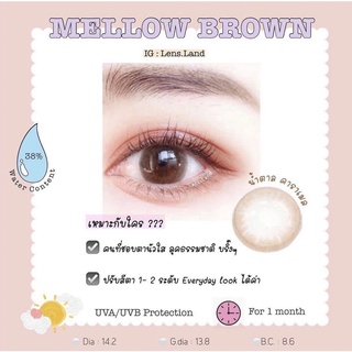 คอนแทคเลนส์รายเดือน รุ่น Mellow Brown bylensland