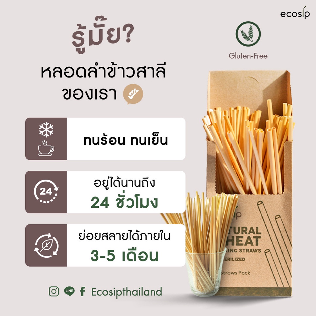 หลอดลำข้าวสาลี Natural wheat straw หลอดจากธรรมชาติ ขนาด 20 cm. 500หลอด