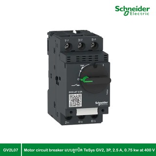 Schneider Electric - Motor circuit breaker แบบลูกบิด ,TeSys GV2, 3P, 2.5 A, 0.75 kw at 400 V_ GV2L07 ที่ร้าน PlugOn