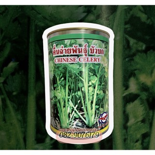 คื่นฉ่ายบัวบก 400 กรัม