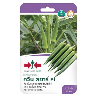 เมล็ดพันธุ์กระเจี๊ยบเขียว F1 ควีนสตาร์ GREEN OKRA SEED EAST-WEST SEED QUEENSTAR F1