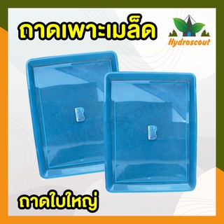 ถาดเพาะเมล็ดผักไฮโดรโปนิกส์ (ถาดใบใหญ่) by hydroscout