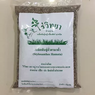 เมล็ดถั่วฮามาต้า 1 กก.(Stylosanthes Hamata) จาก ไร่วิทยา งอกดี อาหารสัตว์ เลี้ยงวัว เลี้ยงควาย