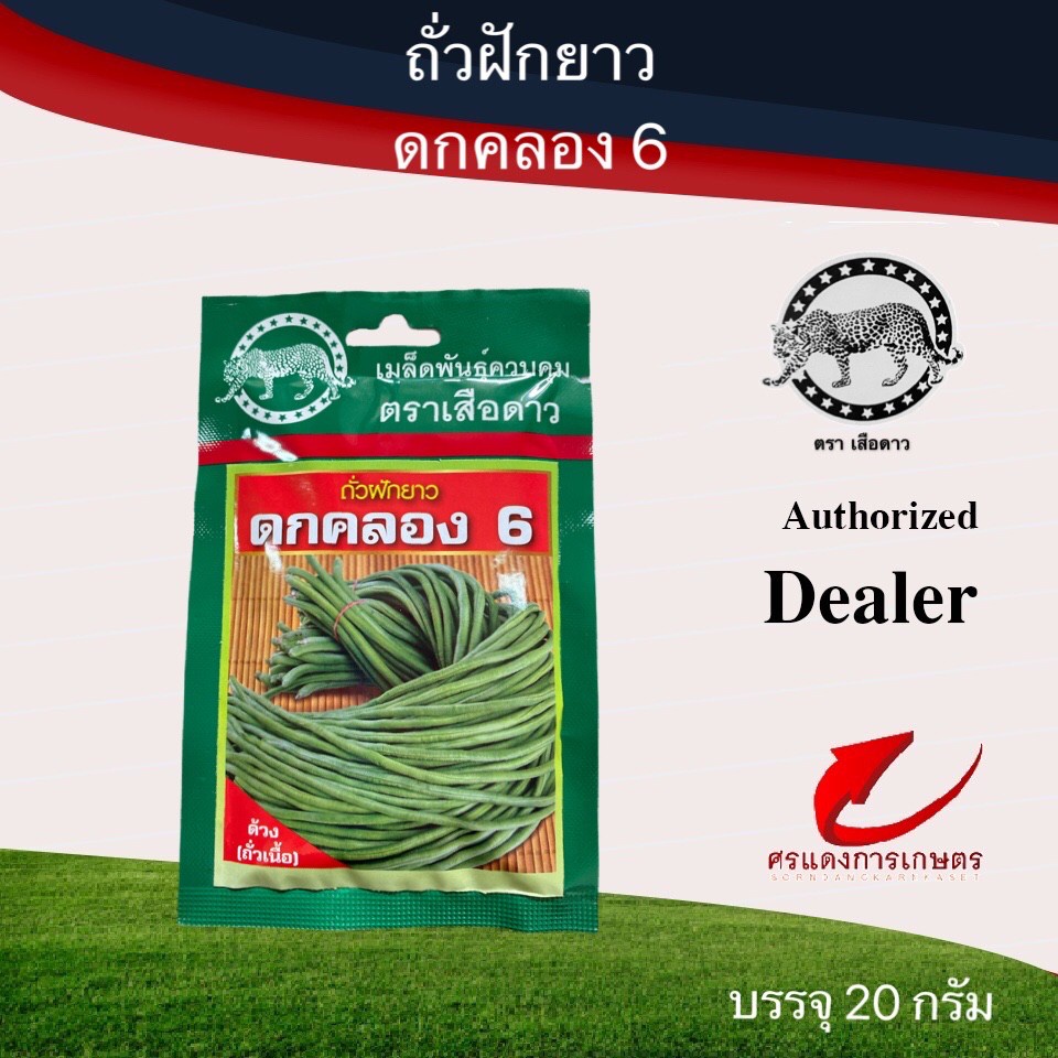 เมล็ดพันธุ์ ผักซองเล็กเสือดาวถั่วฝักยาวดกคลอง 6 #ถั่วฝักยาว #ถั่วฝักยาวเสือดาว #เมล็ดพันธุ์ถั่วฝักยาว #ขายเมล็ดพันธุ์