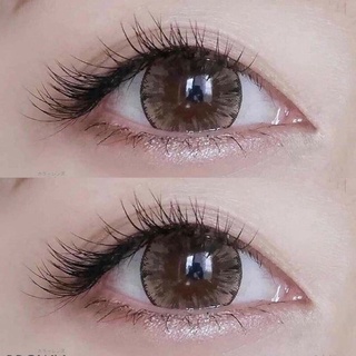 Mania / mini Mania Brown มินิ สีน้ำตาล น้ำตาล โทนแบ๊ว สายแบ๊ว Tommy Dream Color1 Contact Lens Bigeyes คอนแทคเลนส์ สายตา