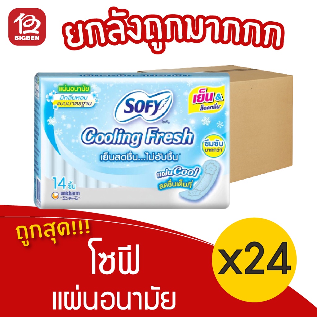 [ยกลัง 24 ห่อ] Sofy โซฟี คูลลิ่งเฟรช แผ่นอนามัย แบบมาตรฐาน มีกลิ่นหอม 14 ชิ้น 28851111285017