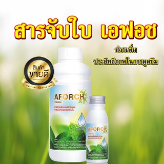 สารจับใบ เอฟอช (AFORCH)  สารจับใบคุณภาพสูง ช่วยเพิ่มประสิทธิภาพการแทรกซึมใบ