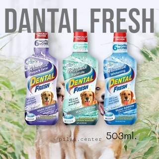 Dental Fresh 503ml.น้ำยาลดกลิ่นปากสุนัข แมว ลดคราบหินปูน ช่วยทำให้ฟันขาวขึ้น