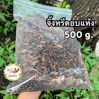 จิ้งหรีดอบแห้ง 500 กรัม/g. Dried Cricket