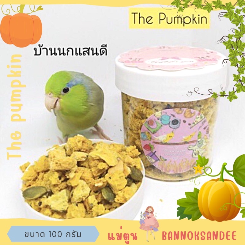 ขนมนก เบบี้สูตร12สูตรฟักทองอบกรอบ กระปุก100กรัม