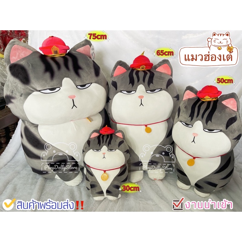 ตุ๊กตาแมวฮ่องเต้ เจ้าเหมียวหน้ามึน แมวหน้ามึน มี 6ขนาด ให้เลือกค่า น้องตัวใหญ่นุ่มนิ่มสุดๆ