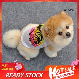 ✽RAN✽Dog Puppy Cat Fashion Coconut Tree Print Summer Vest Top Pet Costume Apparel