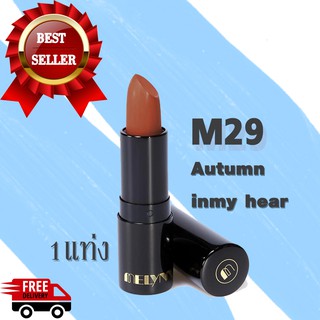 Melynn Stunning Party Mette velvet Lipstick No.M29 AUTUMN IN MY HEART