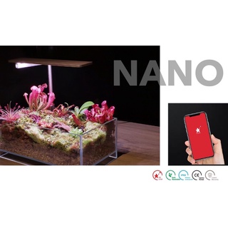 LEDStar AQ Nano Rose Gold ไฟเลี้ยงไม้น้ำแคสตัส โคมสีพิเศษ