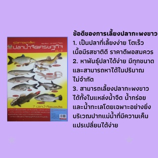 หนังสือการเลี้ยงปลา คู่มือการเพาะเลี้ยงปลาน้ำจืดเศรษฐกิจ เล่ม 2 : หลักการทั่วไปสำหรับการเลี้ยงปลา, การเพาะเลี้ยงปลาจีน