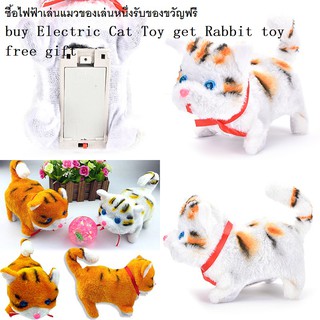 (ซื้อไฟฟ้า, เล่นแมว, ของเล่นชิ้นเดียว, แถมฟรีของขวัญ) แมวไฟฟ้า มีเสียง, เดิน, ทักษะการเรียนรู้