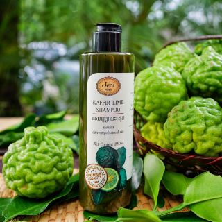 แชมพูลูกมะกรูด​ Jeni Herb ขนาด 250ml.
