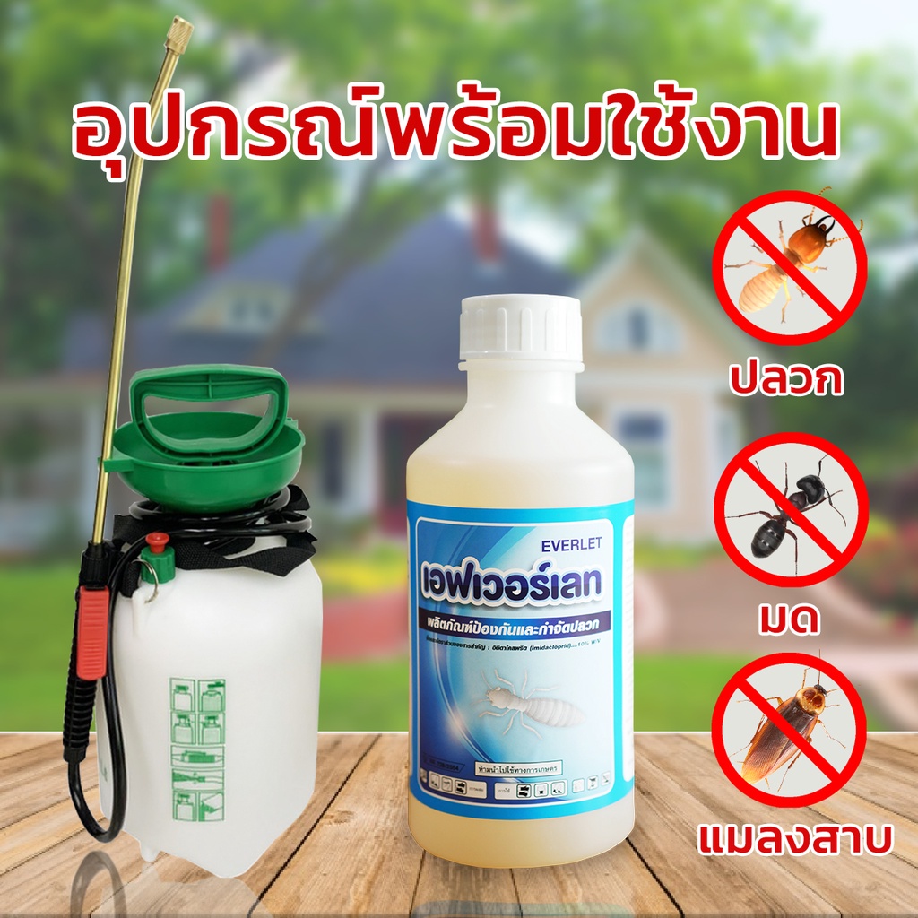 ยาปลวก น้ำยากำจัดปลวก ยากำจัดปลวก ยาฉีดปลวก เอฟเวอร์เลท EVERLET ปลวกตายถึงรัง