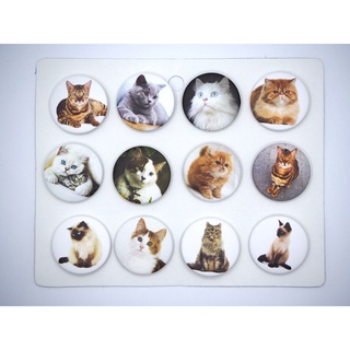 เข็มกลัด 3.2cm/4.4cm Animals สัตว์ cat แมว  Badge