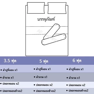 ผ้าปูที่นอน​พร้อมผ้านวม​ ครบเซ็ต​ 6​ ชิ้น​ มินิมอล