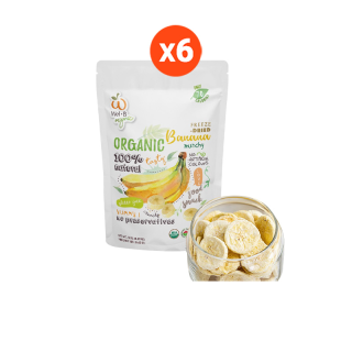 Wel-B Organic Freeze-dried Banana 18g (กล้วยออร์เเกนิกกรอบ 18g. ตราเวลบี) (แพ็ค 6 ซอง) - ขนมเด็ก ขนมเพื่อสุขภาพ ผลไม้แท้