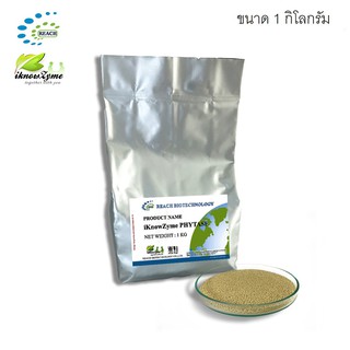 iKnowZyme Phytase  Powder เอนไซม์ไฟเตส ขนาด 1 กิโลกรัม