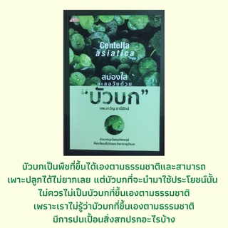 หนังสือสมุนไพร สมองใสชะลอวัยด้วย "บัวบก" : บัวบกของดีใกล้ตัวมากด้วยสรรพคุณ, อาหารสมองที่หลายคาดไม่ถึง