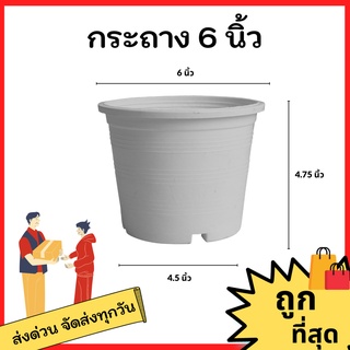 กระถางต้นไม้ กระถาง กระถางต้นไม้พลาสติก กระถางแคคตัส ขนาด 5 5.5 5.7 6 8 10 นิ้ว (สีขาว)