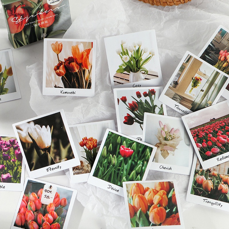 ENWEI 40pcs Time Collection Series Stickers Ins Flower Deco Sticker Scrapbooking Stationery