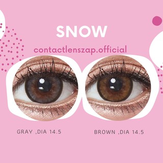 𝑁𝐸𝑊 ✨ คอนแทคเลนส์ snow gray &amp; brown