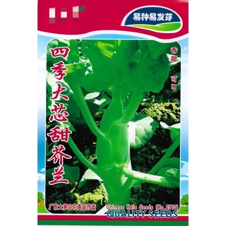 เมล็ด คะน้าเห็ดหอม (คะน้ายอด) Kale บรรจุ 400 เมล็ด