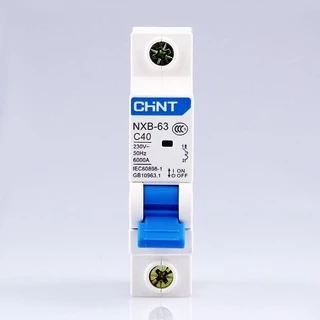 NXB-63 Series (Curve C) เซอร์กิตเบรกเกอร์ / ลูกย่อย 1P 2P MCB Miniature Circuit Breaker มินิเอเจอร์ ลูกเซอร์กิต "CHINT"