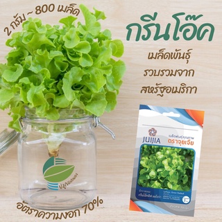 ผักกาดหอม กรีนโอ๊คลีฟ ออโรร่า (Green Oakleaf) #เมล็ดผักสลัด