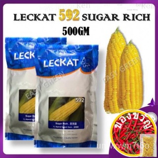 LECKAT 592 BENIH JAGUNG MANIS/GRED A-F1 HYBRID SUGAR RICH 500G BIJI SWEET CORN SEED (516) VEGETABLE 500Gสร้อยข้อมือ/เสื้