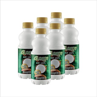 อัมพวา กะทิขวด100% 250 มิลลิ ลิตร x 6 ขวด Amphawa coconut milk 100% bottle 250 milliliters x 6 bottles