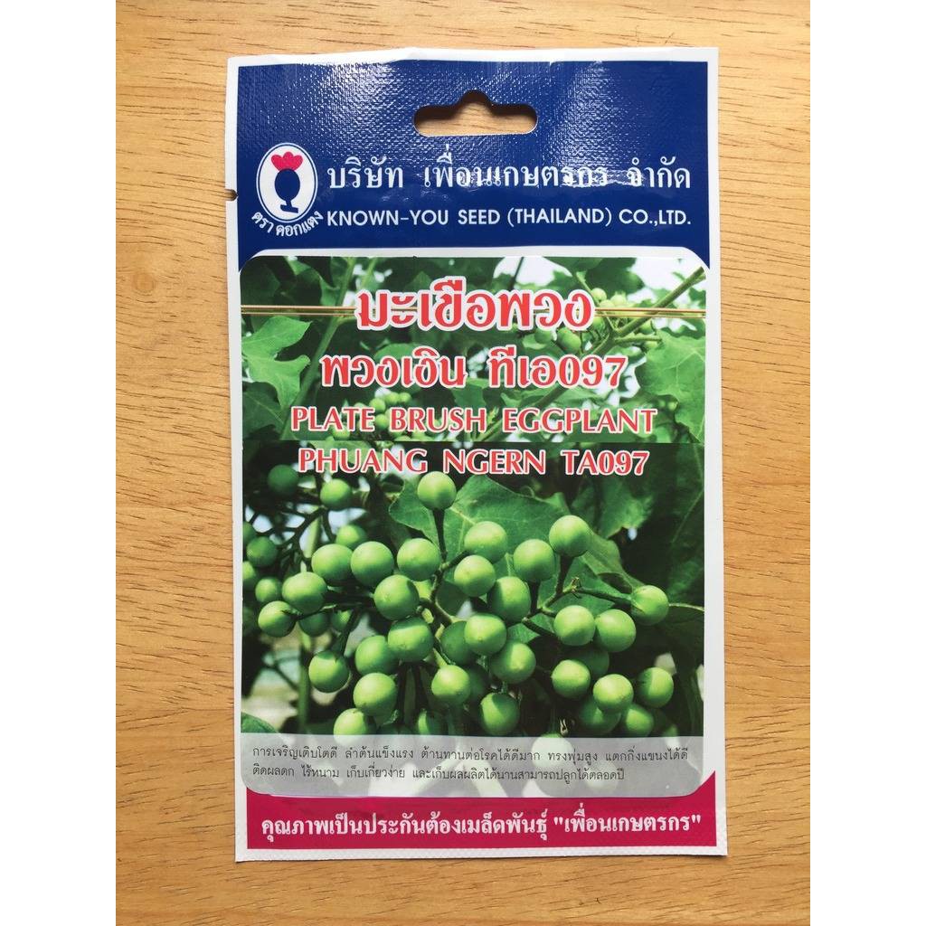 เมล็ดมะเขือพวง ไร้หนาม ต้านทานโรค แตกกิ่งแขนงดี ผลดก เก็บเกี่ยวได้นาน ปลูกได้ตลอดปี 940 เมล็ด