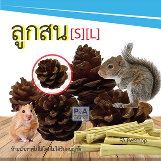 (ลูกสน)​ ลับฟัน สัตว์เล็ก​ สัตว์ฟันแทะ​ [สำหรับ ชูการ์​ กระรอก​ ดอร์เมาส์​ แฮมสเตอร์​ บุชเบบี้​ ลิง] ลูกละ10฿ / Size S