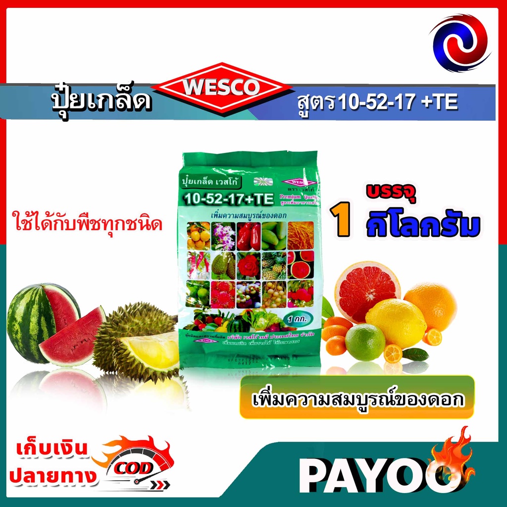 🔥ลด 50% ใส่โค้ด INC8LZ3🔥 แพ็ค 3 กิโลกรัม WESCO ปุ๋ย 10-52-17 +TE(ธาตุรองเสริม) ปุ๋ยเกล็ด เวสโก้ เพิ่มความสมบูรณ์ของดอก
