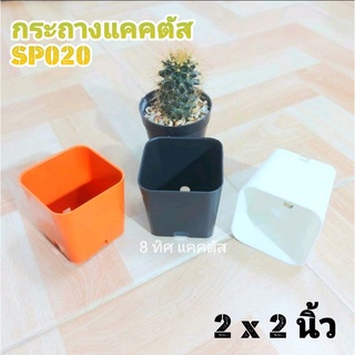 กระถาง SP020 2 นิ้ว //กด 100 ใบ 200 บาท --สี่เหลี่ยม SP020 2 นิ้ว -- แคคตัส กระบองเพชร กระถางพลาสติก