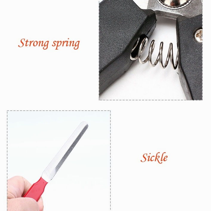 【CDDMPET】กรรไกรตัดเล็บสัตว์เลี้ยง แบบมืออาชีพ พร้อมกรรไกรตัดเล็บ สําหรับสัตว์เลี้ยง สุนัข แมว - รูปที่ 2