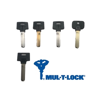 กุญแจเจาะสำหรับMul T Lock