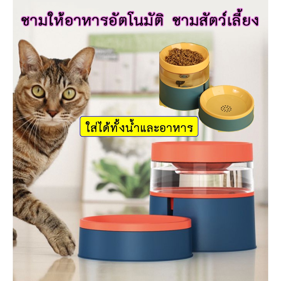 AL-201 ชามอาหารและน้ำสัตว์เลี้ยง สุนัข หมา แมว 2in1 เติมน้ำอัตโนมัติ ชามอาหารสุนัข พร้อมส่ง