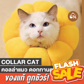 🔥ถูกสุด! พร้อมส่ง🔥Collar Cat คอลล่าแมว ดอกทานตะวัน สายรุ้ง คอลล่าสัตว์เลี้ยง ปลอกคอกันเลีย คอลล่ากันเลีย