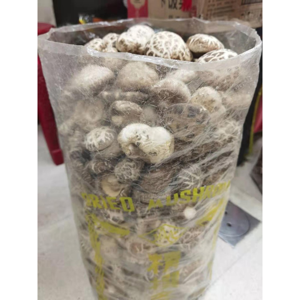 เห็ดหอม ดอกขาวญี่ปุ่นAAAAA6 （日本白花菇AAAAA6）เห็ดดอกไม้อุดมไปด้วยวิตามินดี แร่ธาตุ และกรดอะมิโนหลายชนิด - รูปที่ 3