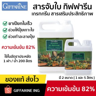 [โปรส่งฟรี] สารจับใบ GIFFARINE ยาจับใบ สารเสริมประสิทธิภาพ ขนาด 5 ลิตร ช่วยเพิ่มประสิทธิภาพการจับใบและดูดซึม