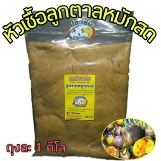 หัวเชื้อ ลูกตาลสดหมัก ปลายิ้ม สูตรเทพลูกตาลหมัก ชุดใหญ่ 1 กิโล ชุดตกปลาเกล็ด   เหยื่อตกปลา ตกปลา เนื้อลูกตาลสด Pla Yim