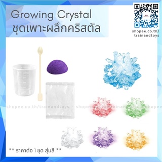 ของเล่นวิทยาศาสตร์ DIY สำหรับเด็กโต STEM ชุดเพาะผลึกคริสตัล Growing Crystal Kit