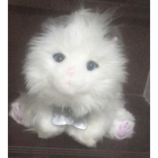 ตุ๊กตาแมวเปอร์เซีย เหมือนจริง ขยับได้ กินอาหารได้ นอนได้ สวย ใหม่ ร้านทำความสะอาดให้เเล้วค่ะ มือสอง